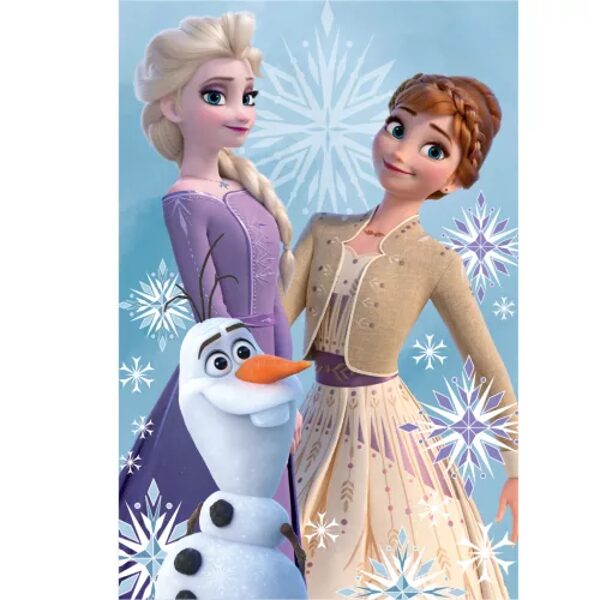 Disney Frozen flīsa pleds 100x150